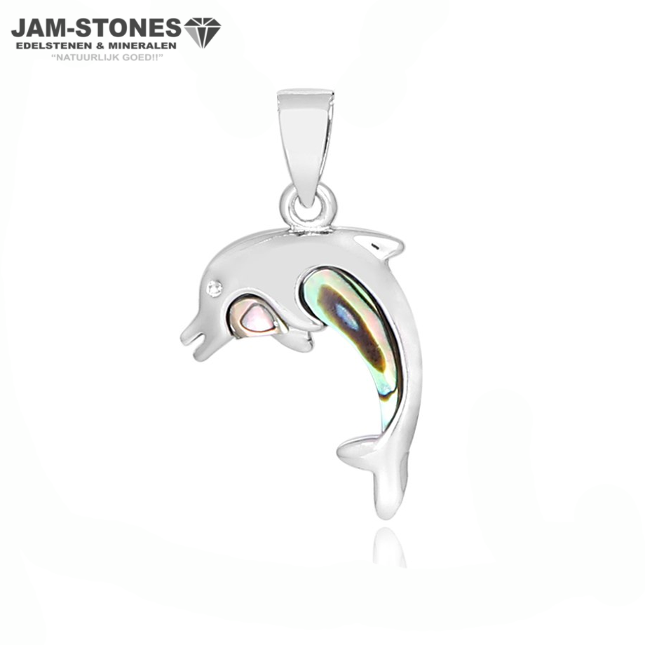 ABALONE SCHELP HANGER DOLFIJN